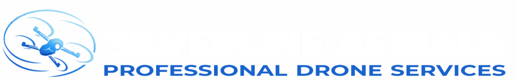 Silverline Aerials Logo